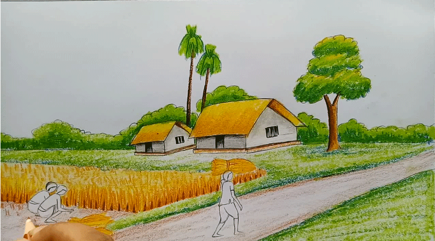 Menggambar pemandangan desa saat musim panen padi 
