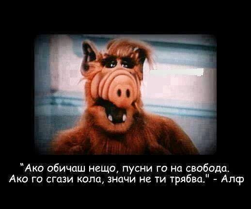 Ако обичаш нещо, пусни го на свобода. Ако го сгази камион, значи не ти трябва.