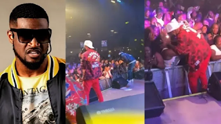 'Mr P' Paul Okoye pauses performance, kisses female fan romantically at PSquare concert