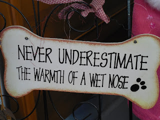 never underestimate the warmth of a wet nose plaque