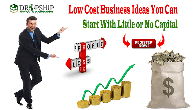 Low Cost Business Ideas With No Capital