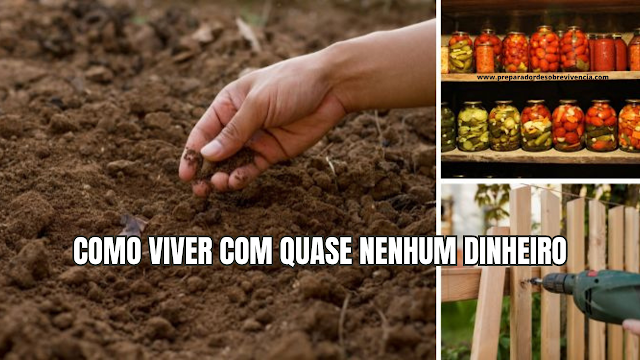 Como viver sem dinheiro