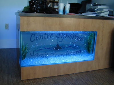 fish aquarium design