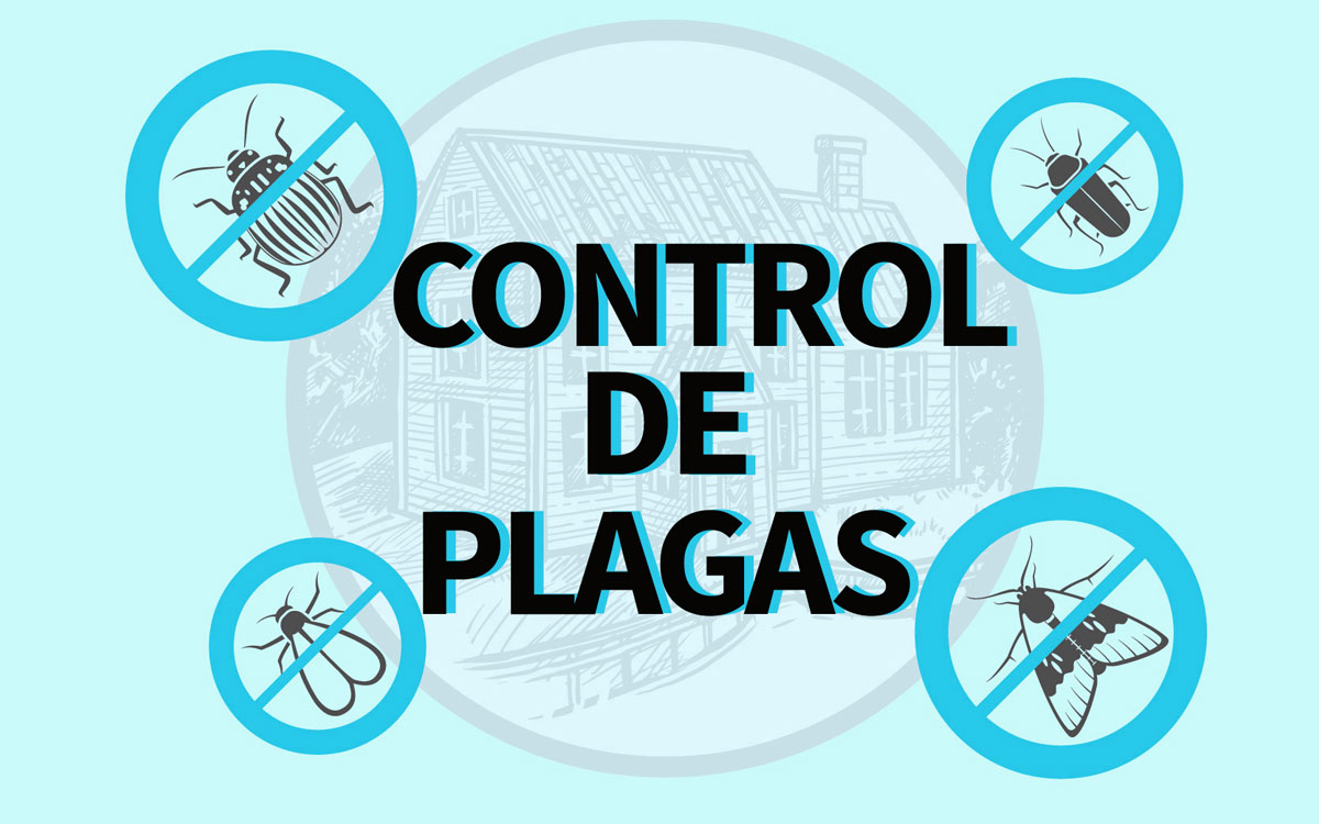 control plagas