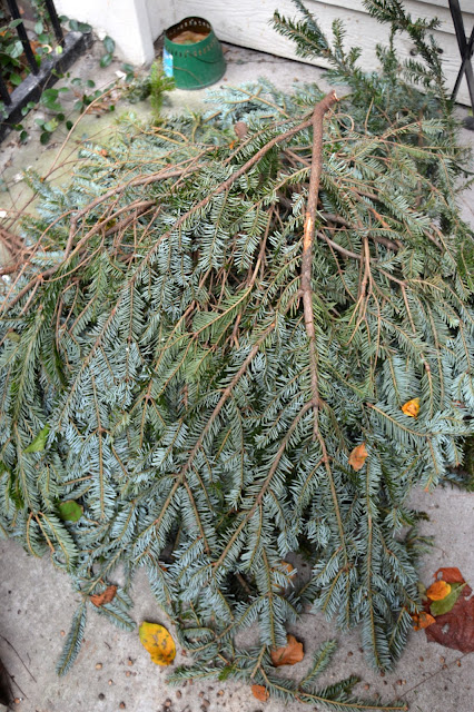 Fresh Bough Wreath, Christmas Wreath, Free Boughs