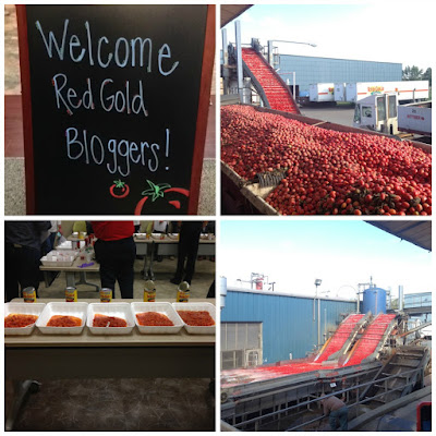 Beef & Two Bean Chili {+ Red Gold Family Farm Tour Recap} | The Chef Next Door