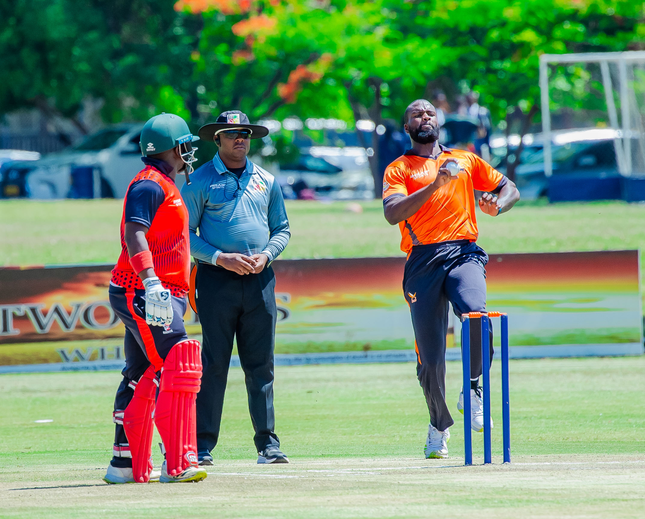 Pro50 Championship Zimbabwe domestic cricket 2023