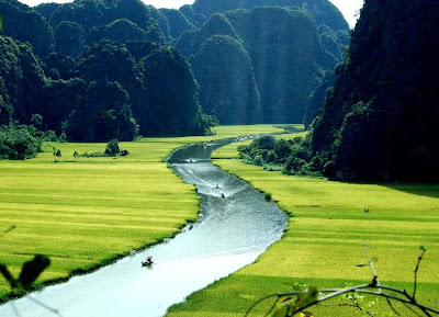 The Tam Coc (“three caves”) portion is a three-hour excursion by small boat along the Ngô Đồng river,  beginning at the village of Van Lam and proceeding through a scenic landscape dominated by rice fields and karst towers. The route includes floating through three natural caves (Hang Ca, Hang Hai, and Hang Ba), the largest of which is 125m long with its ceiling about 2m high above the water. The boats are typically rowed by one or two local women who also sell embroidered goods.