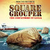 Square Grouper (2011)