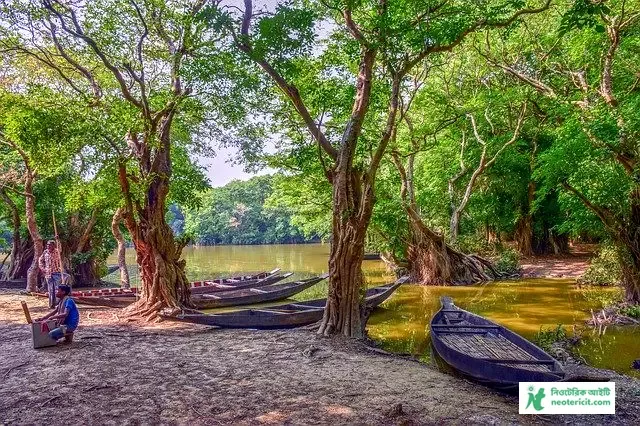 গ্রাম বাংলার প্রাকৃতিক দৃশ্য ছবি - প্রাকৃতিক দৃশ্য ছবি ডাউনলোড - অপূর্ব সুন্দর প্রাকৃতিক দৃশ্যের ছবি - Natural Picture - NeotericIT.com - Image no 10