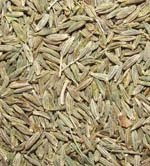 cumin seeds jintan