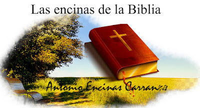 La agrada Biblia