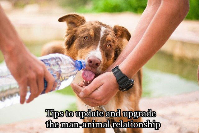 Tips to update and upgrade the man-animal relationship