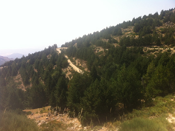 Ruta por las Zetas de La Pedriza, agosto 2013