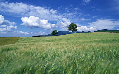 Paisajes Naturales, Landscapes, Fondos y Wallpapers