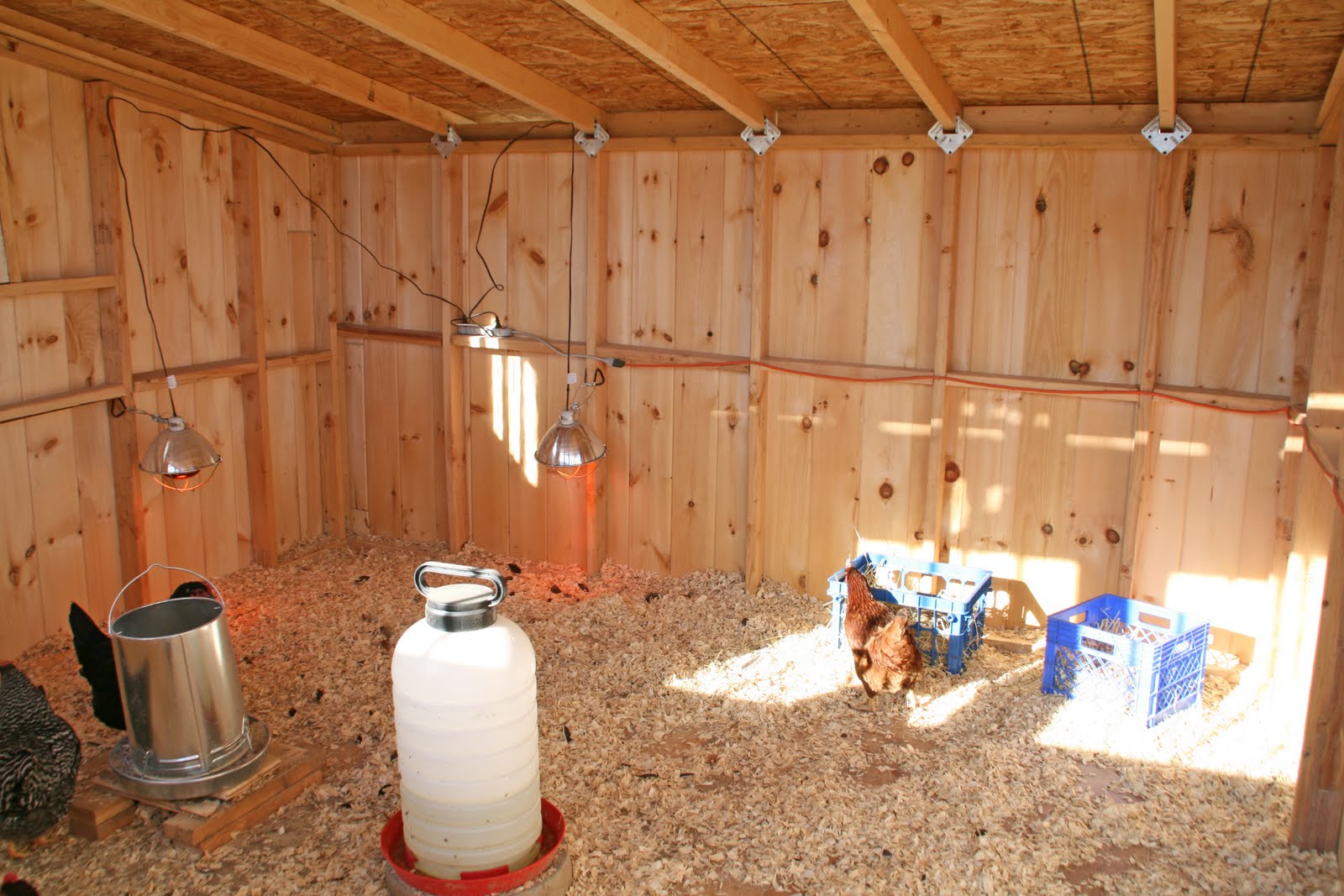 Brazy Creek Farm: New Chicken Coop