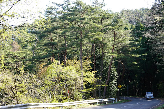 鳥取県西伯郡大山町鈑戸 鳥取県道314号赤松大山線