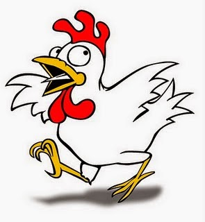  Gambar  Gambar  Mengetahui Kelamin Ayam  Telur Animasi  