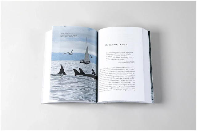 Ebook design: ebook formatting, ebook layout, ebook cover design, Kindle ebook design Book design: book layout, book typesetting, book formatting, book cover design, book interior design KDP book: KDP publishing, KDP formatting, KDP cover design, KDP ebook design Paperback: paperback design, paperback formatting, paperback cover design, print book design