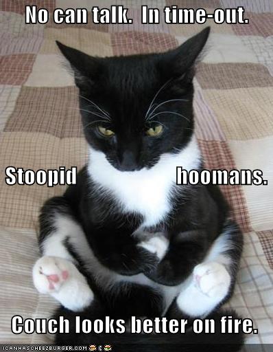 funny cat names. funny cat