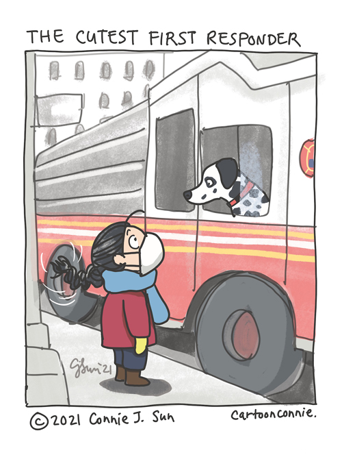 Cartoon illustration of seeing a Dalmatian in a fire truck, slice of life, NYC, journal comics, sketchbook drawing by Connie Sun, cartoonconnie