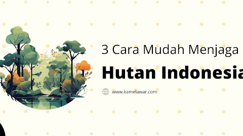 3 Cara Mudah Menjaga Kelestarian Hutan Indonesia