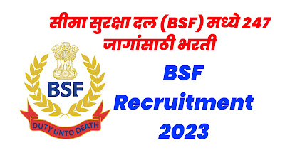 सीमा सुरक्षा दल (BSF) मध्ये 247 जागांसाठी भरती, BSF Recruitment 2023