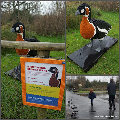 Martin Mere Wetland Centre Giant LEGO trail Red Breasted Goose