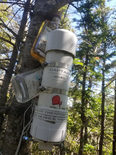 A successful bushwhack to a back-country crag known as The Captain, deeply nestled between South Hancock, Mount Carrigain, and Sawyer River. 