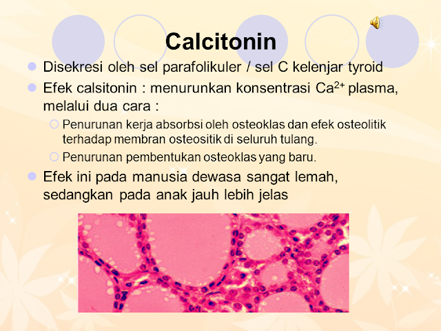 Calcitonin