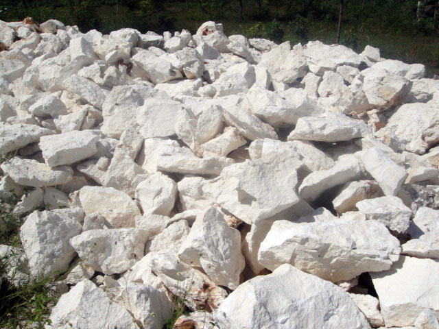 Auf Klarung Menengok Asal Mula Batu  Kapur  Limestone 
