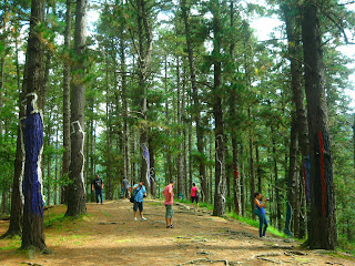 Bosque Pintado de Oma