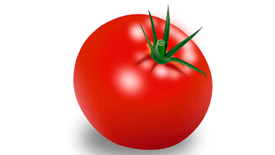 tomato fruits clipart