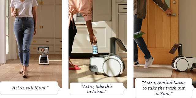 Robot for Home Monitoring