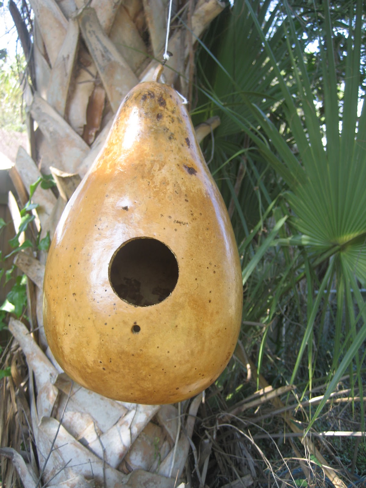 Michellan: DIY - Gourd Birdhouses
