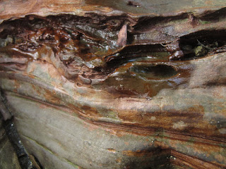 Natural pattern of Rock in Halmahera Island, Indonesia