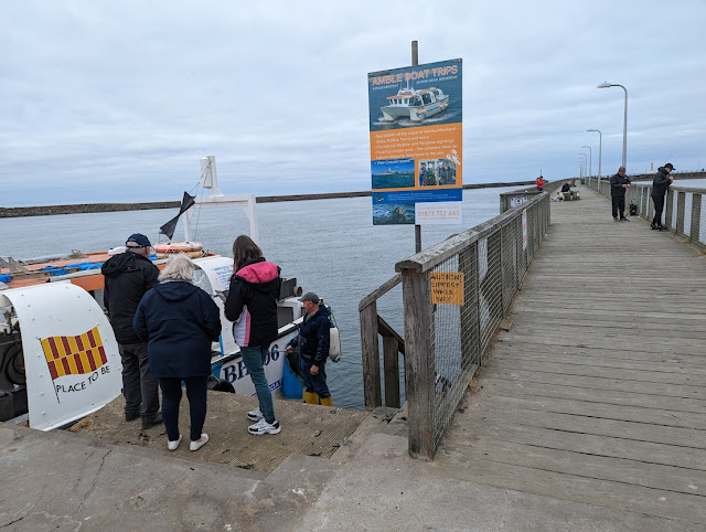 30 Things to Do in Amble  - Amble Boat Trips