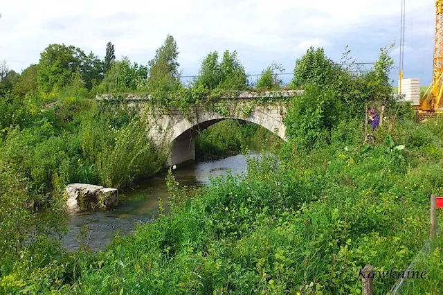 Petit Rouillac à Linars