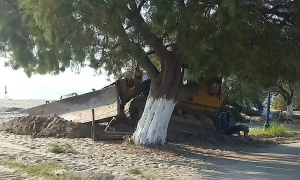 Πρωτοφανές περιστατικό στη Λάρισα: Άγνωστοι ξερίζωσαν με μπουλντόζα δέντρα και κατέστρεψαν ράμπες ΑμεΑ σε παραλία
