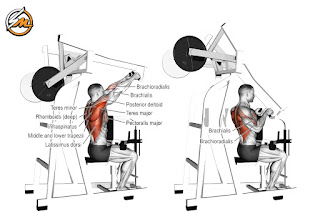 V-Taper Back Exercises: 6 Best Back Exercises For Building Muscle