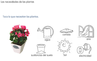 http://www.primerodecarlos.com/SEGUNDO_PRIMARIA/enero/tema1/actividades/CONO/plantas.swf