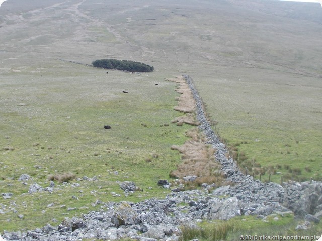 plough fell 001
