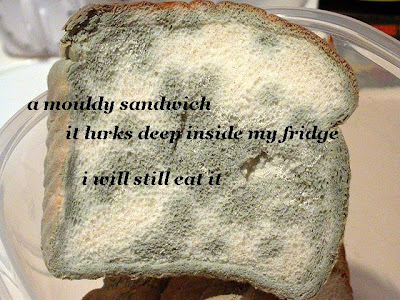 A mouldy sandwich/It lurks deep inside my fridge/I will still eat it.