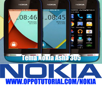 Tema Nokia Asha 305