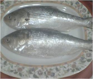 Resepi Ikan Bakar Sabah - October U