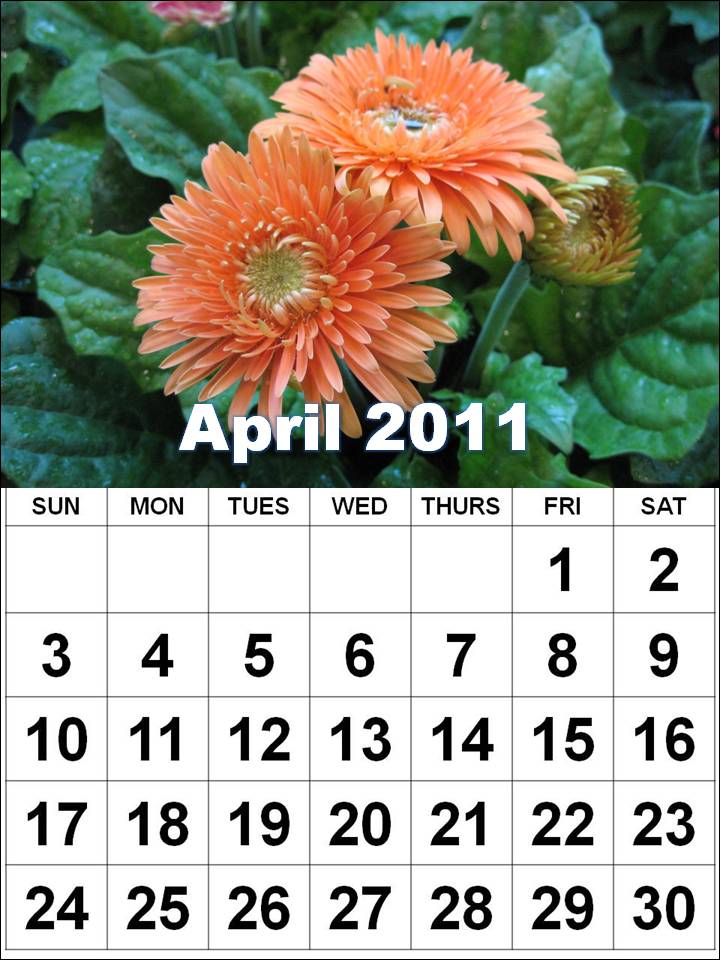 moon phases april 2011. 2011+calendar+canada Moon