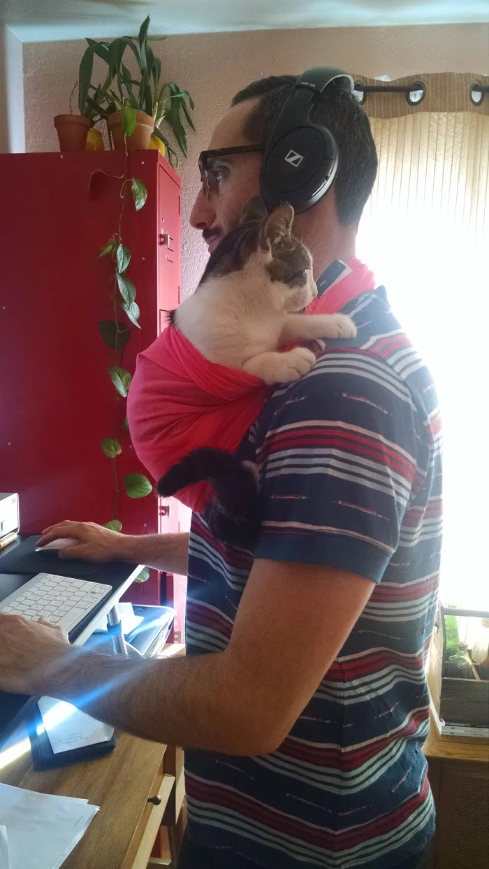 30 Adorable Pictures Of Men With Their Cats