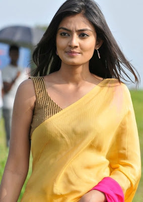 Nikitha Narayan in Hot Yellow Saree Stills