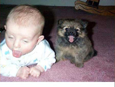 funny baby pictures, baby and dog