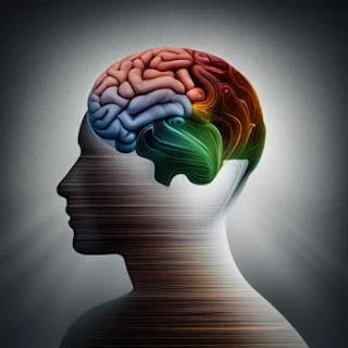 뇌꽈리 뇌혈관 건강 관리법